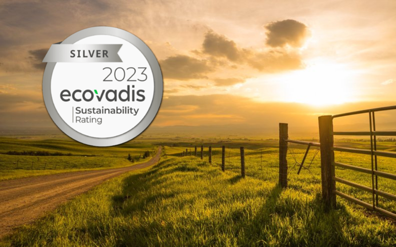 Sustainability