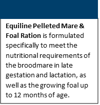 image8h6e.png