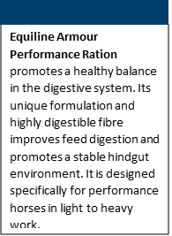 image2vbnk.png