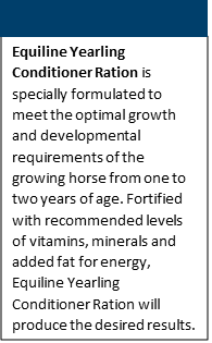 imagetmuzy.png