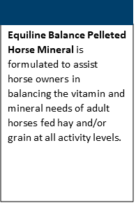 imagep5w9p.png