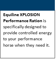 image0fx1.png