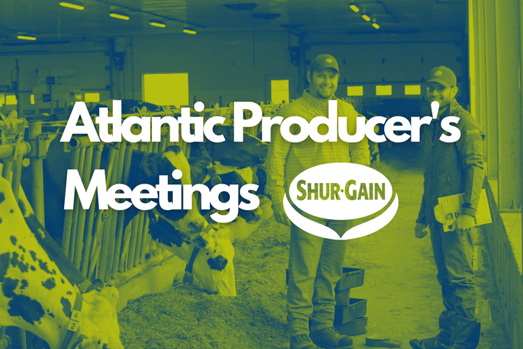 Atlantic Producer's Meetings