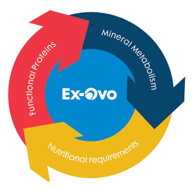 Circle graphic - Ex-Ovo.jpg