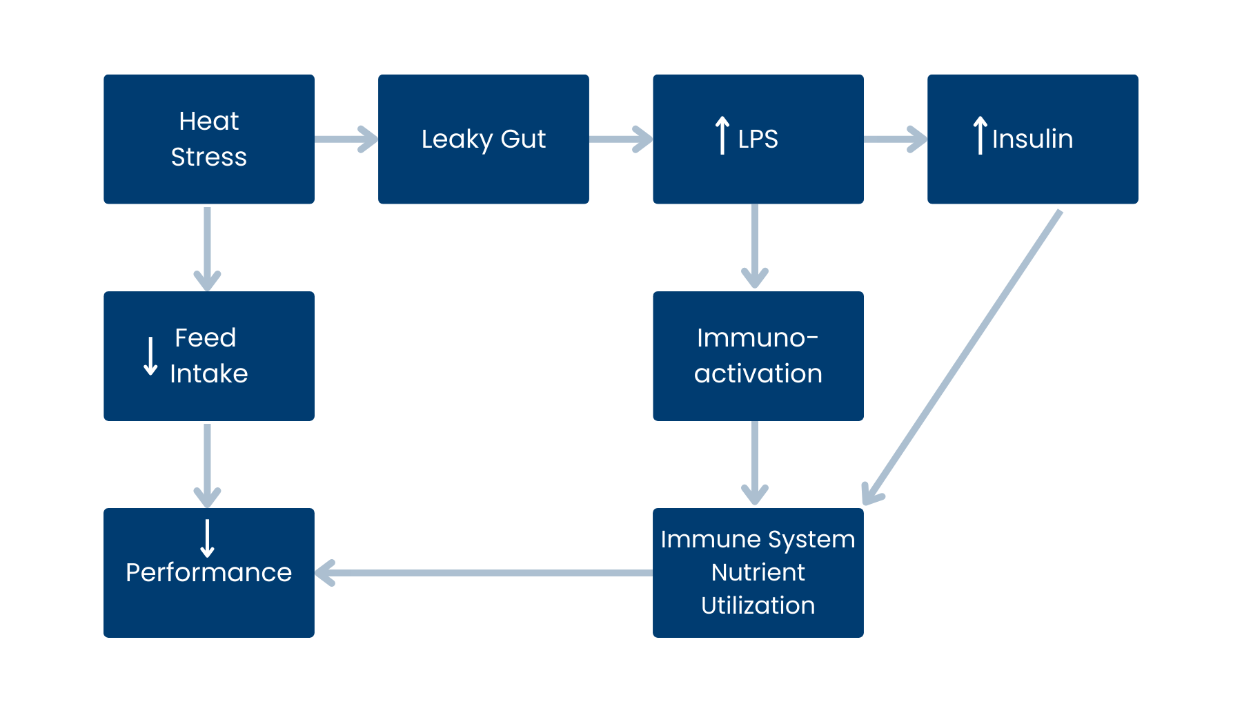Heat Stress Blog Graphic 2 EN.png