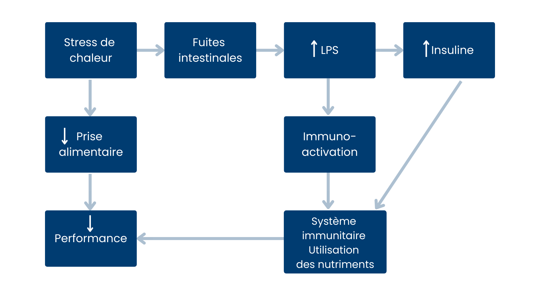 Heat Stress Blog Graphic 2 FR.png