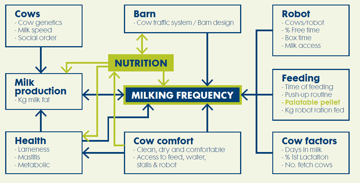 Milking frequency