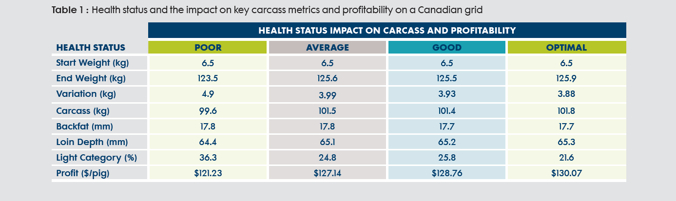 Swine Watson Health and Performance Blog.png