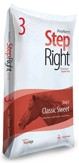 Step 3 Classic Sweet1.png